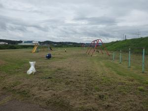 金流川河川公園のようす