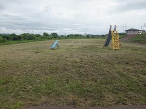 金流川河川公園のようす