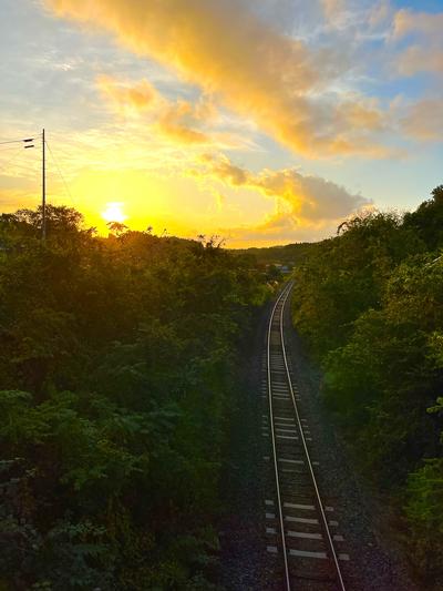落暉に渡る線路