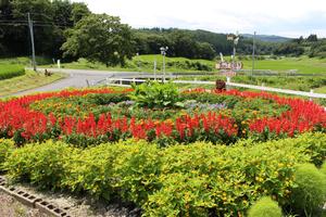 第37区自治会の花壇