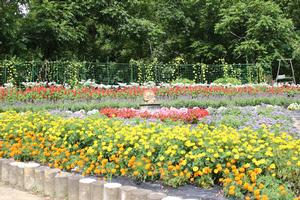 第10区自治会の花壇