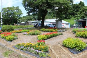 有限会社グリーン総業の花壇