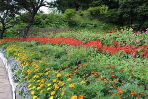千松自治会の花壇