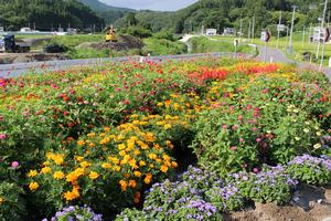 第17区自治会の花壇