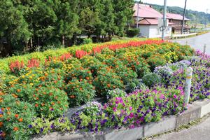 第19区自治会の花壇