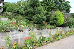 後藤信子氏の花壇