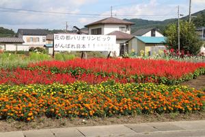 高成自治会の花壇のようす