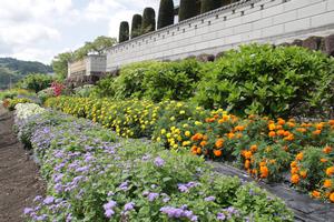 矢作むつみ会の花壇のようす