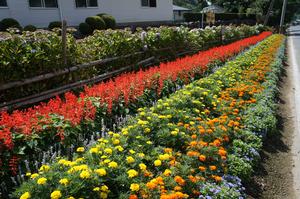 竹野下自治会花壇の写真