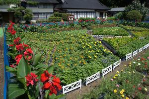 小山孝子さんの花壇の写真
