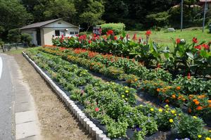 第15区自治会林崎班花壇の写真