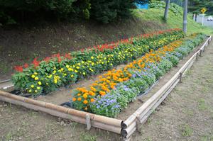 矢越第6部落親睦会花壇の写真