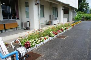室根市民センター花壇の写真