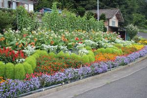 佐藤和子さんの花壇