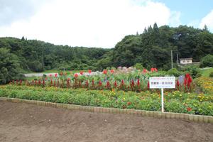 曽慶第1区自治会の花壇