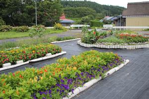 猿沢三・六老人クラブ・3区婦人会の花壇