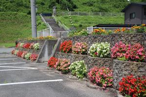 曽慶市民センターの花壇