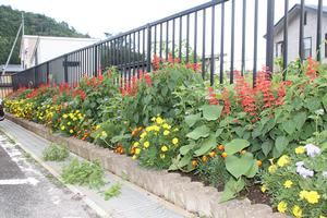猿沢市民センターの花壇
