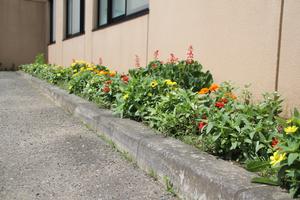 介護老人保健施設ほうらいの花壇