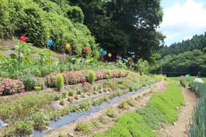 藤原祐美さんの花壇