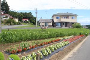 堤下公民館の花壇の写真