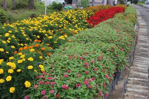 上中村集落公民館の花壇の写真