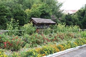 杉山契約組合の花壇の写真