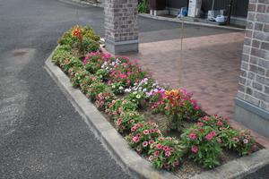 デイサービス舞乃湯の花壇の写真