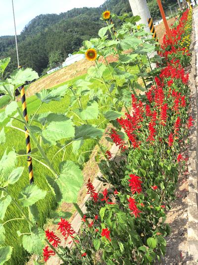 松川6区老人クラブ松寿会