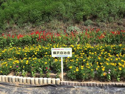 横沢自治会