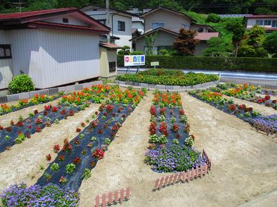 中日向自治会女性部の花壇