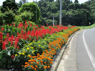 峯山いきいきサロンの花壇