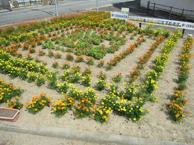第1-2区自治会の花壇