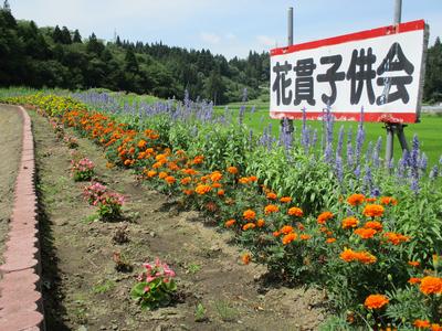 花貫自治会の花壇