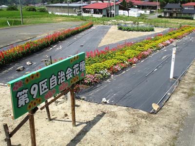 第9区自治会の花壇