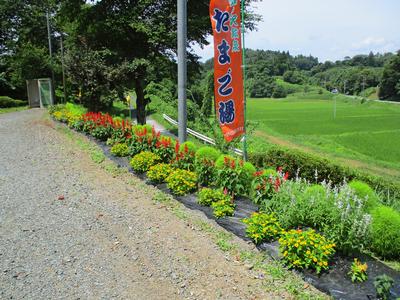 畑ノ沢鉱泉たまご湯の花壇