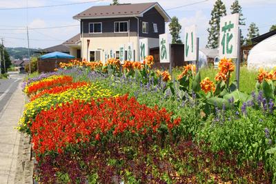 佐野原集落公民館の花壇