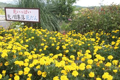 矢ノ目集落公民館の花壇