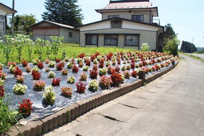 藤田集落公民館の花壇