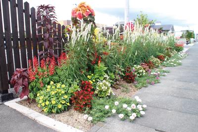 イタリア食堂 フィオーレの花壇