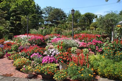 菅原 美喜子氏の花壇