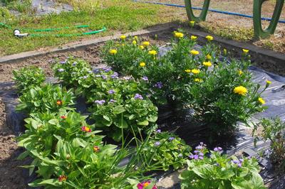 一関市立舞川小学校
