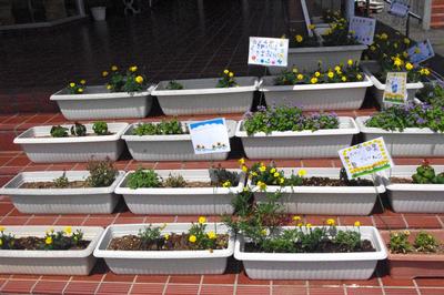 山目地区まちづくり協議会 やまのめ放課後子ども教室