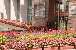 プランター部門 教育長賞