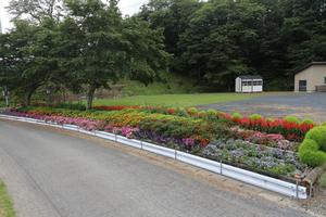 一般花壇部門 審査員特別賞