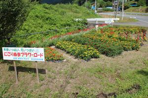 大規模花壇部門 奨励賞