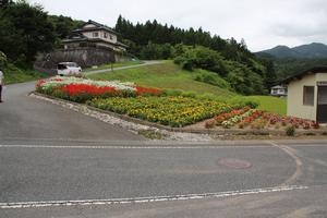 一般花壇部門 奨励賞