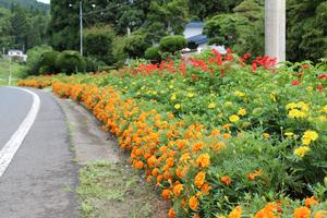 一般花壇部門 奨励賞