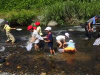 興田川での水生生物調査の様子