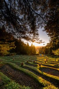 光と影 佐々木弘樹
